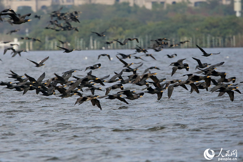 ????? .. ?? ???? ???? ..  ????? ?? ???? ????? ???????? ???? ????