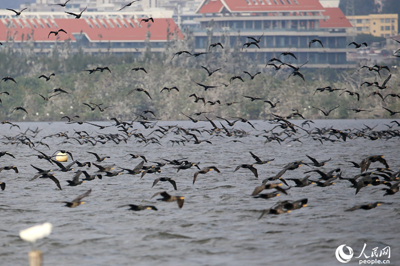 ????? .. ?? ???? ???? ..  ????? ?? ???? ????? ???????? ???? ????