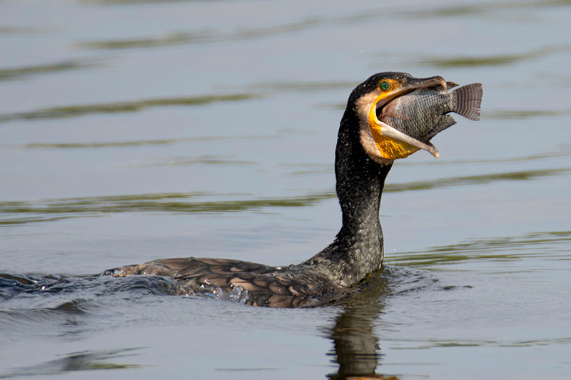 ????? .. ?? ???? ???? ..  ????? ?? ???? ????? ???????? ???? ????