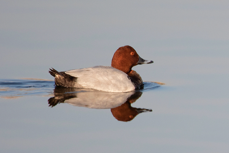 ????? .. ?? ???? ???? ..  ????? ?? ???? ????? ???????? ???? ????