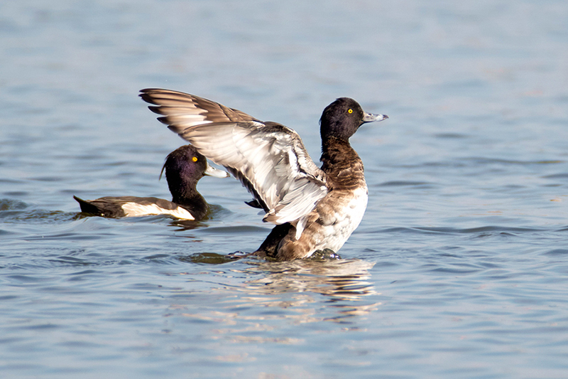 ????? .. ?? ???? ???? ..  ????? ?? ???? ????? ???????? ???? ????