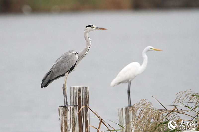 ????? .. ?? ???? ???? ..  ????? ?? ???? ????? ???????? ???? ????