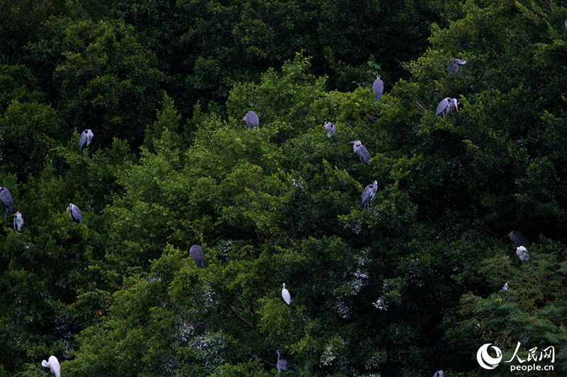 ????? .. ?? ???? ???? ..  ????? ?? ???? ????? ???????? ???? ????