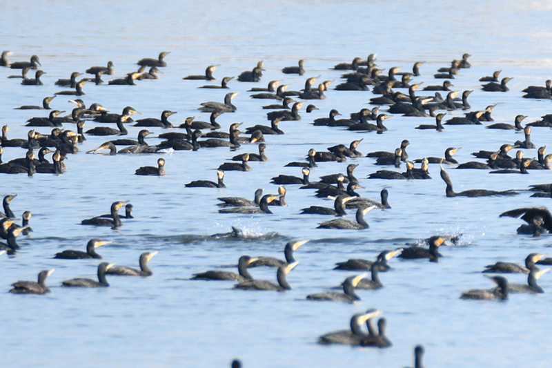 ????? .. ?? ???? ???? ..  ????? ?? ???? ????? ???????? ???? ????