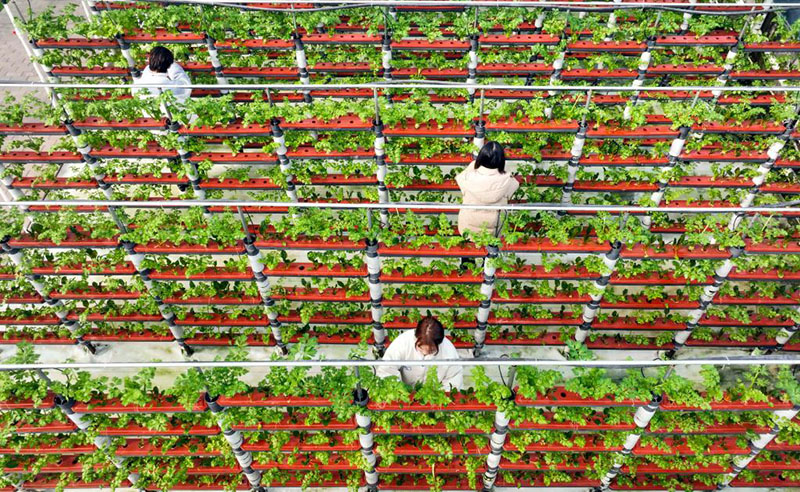 ??????? ???????? ?????? ????? ????? ???????? ?????? ?? ?????? ??????