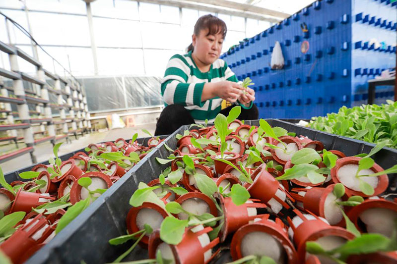 ??????? ???????? ?????? ????? ????? ???????? ?????? ?? ?????? ??????