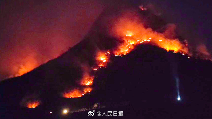 ?????? ????? ????? ?? ????? ??????? ?????? ?????