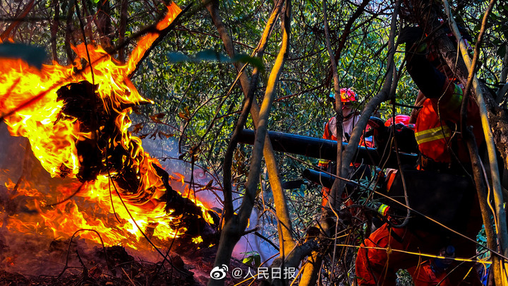 ?????? ????? ????? ?? ????? ??????? ?????? ?????