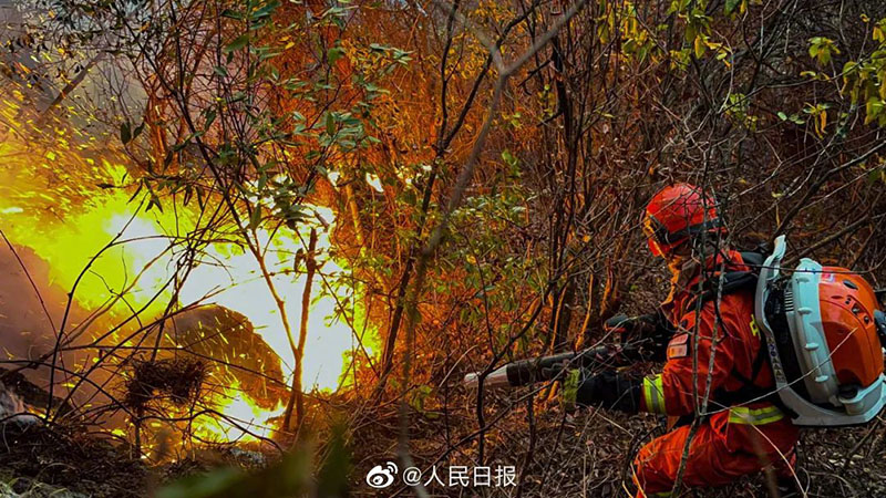 ?????? ????? ????? ?? ????? ??????? ?????? ?????