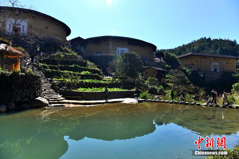 ????? ????? ???? ??????? ?????? ??????? ??????