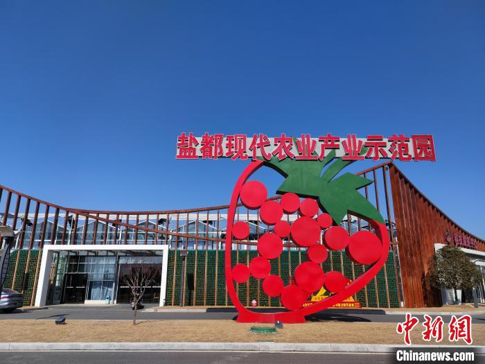 ???????? ??????? ?? ?????? ???????.. ????? ???? ?????? ?????