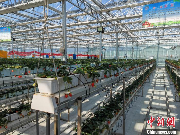 ???????? ??????? ?? ?????? ???????.. ????? ???? ?????? ?????