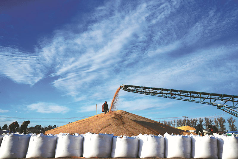 ????? ??????: ????? ???? ?????? ??? ?????? ?? ???? ??????