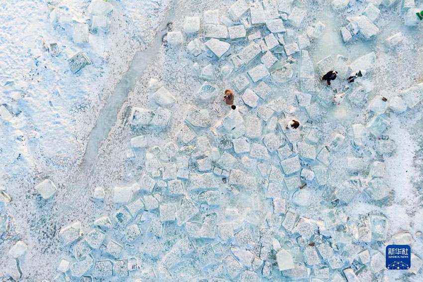 ???? ?????? ?? ?????? ????? ??? ???? ??? ?????