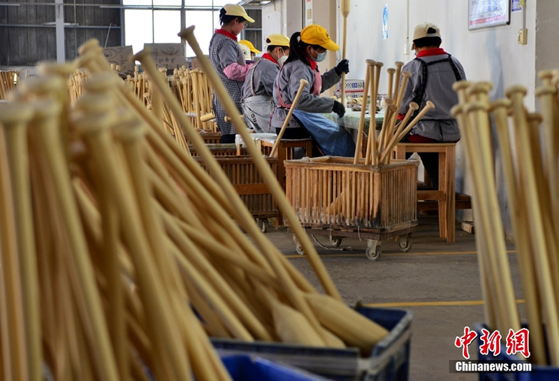 ????????? ??????: ???? ???? ?????? ?????? ???????? ?? ?????