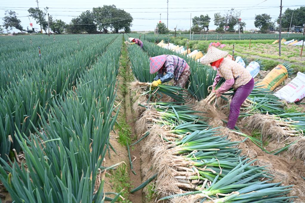 ???? ???? ????? ?? ?????? ??????? ????? ???? ?????