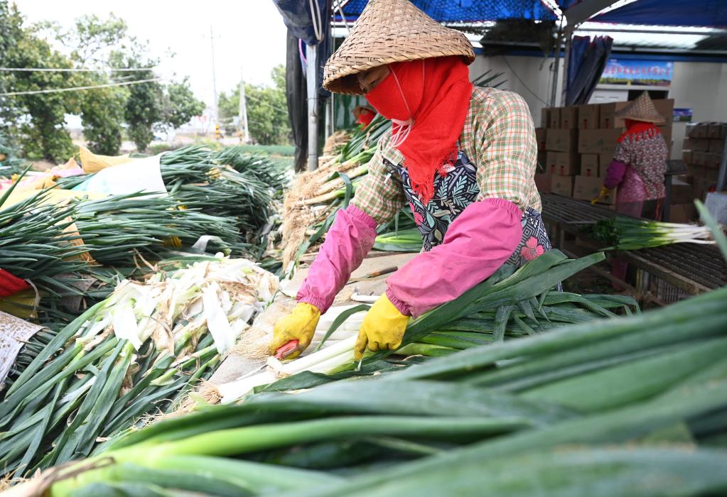 ???? ???? ????? ?? ?????? ??????? ????? ???? ?????