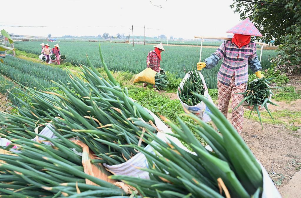 ???? ???? ????? ?? ?????? ??????? ????? ???? ?????