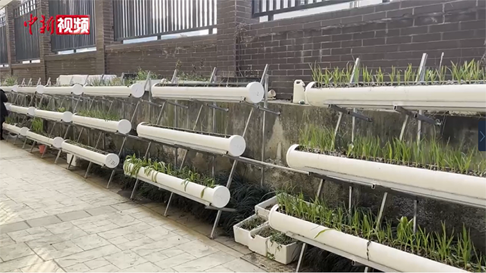 ???? ???? ???????: ???? ???? ????? ??? ???? 200 ??? ???????? 150 ??????? ??????????  