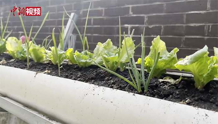 ???? ???? ???????: ???? ???? ????? ??? ???? 200 ??? ???????? 150 ??????? ??????????  