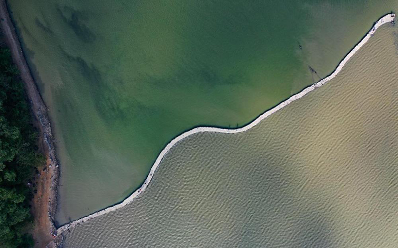 ??????: ??? ???? ??? ??? ???? ???? ??? ??? ??? ?????? ?????