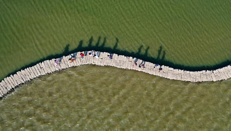 ??????: ??? ???? ??? ??? ???? ???? ??? ??? ??? ?????? ?????