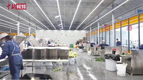 ??????? ????? ??? ??????