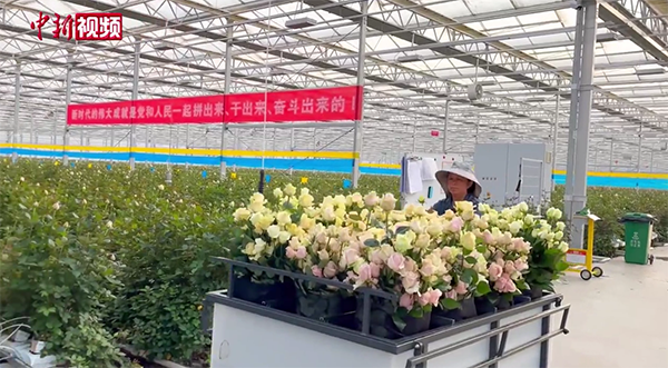 ??????? ????? ??? ??????