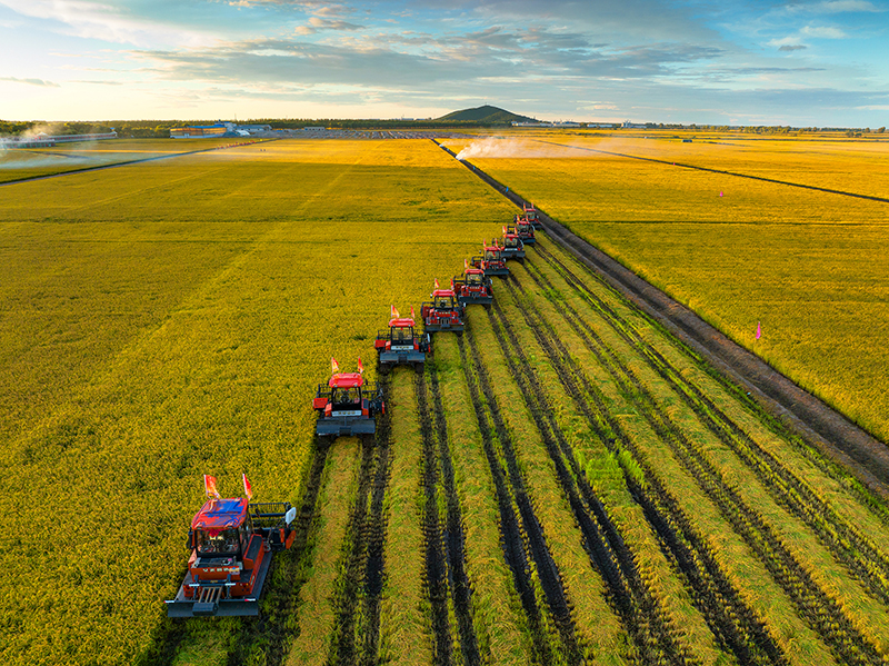 ????? ???? ??????? ???????? ??? 1 ???? 2023 ????? ??? ???? ?????? ??????