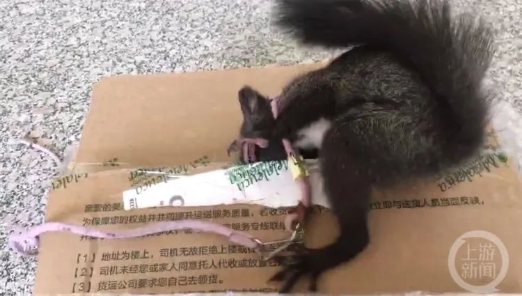 ?????? ??????? ????? ??????? ??? ?????? ?????????