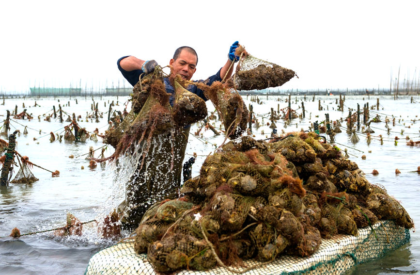 ?????? ???? ??? ?????? ?? ????? ?? ?????? ???????