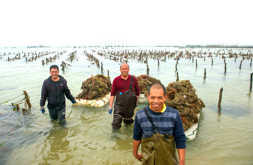 ?????? ???? ??? ?????? ?? ????? ?? ?????? ???????