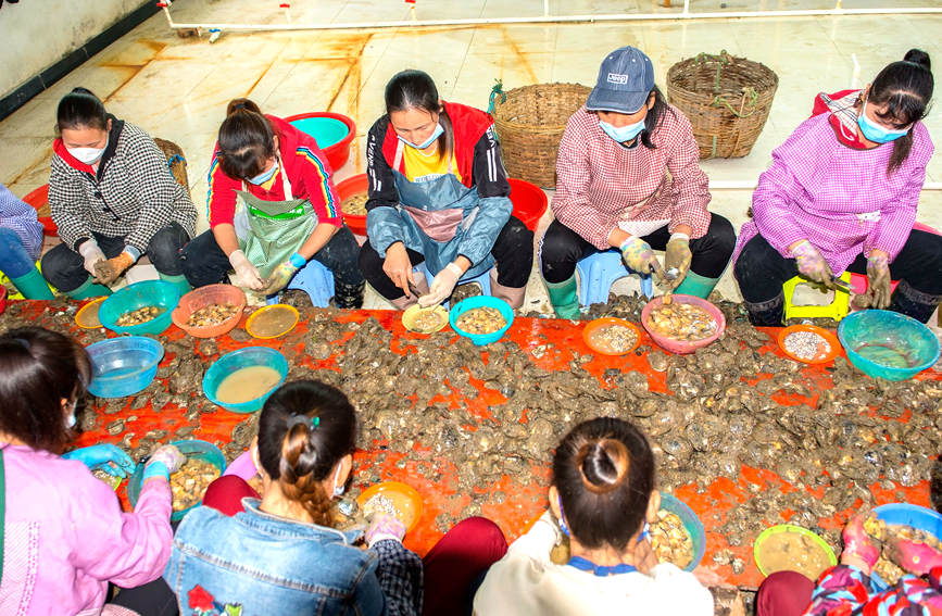 ?????? ???? ??? ?????? ?? ????? ?? ?????? ???????