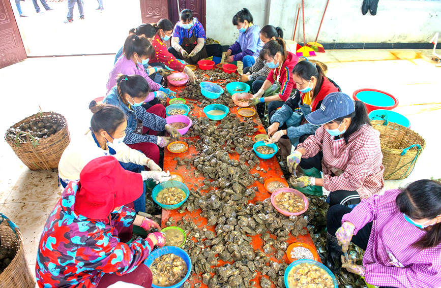 ?????? ???? ??? ?????? ?? ????? ?? ?????? ???????