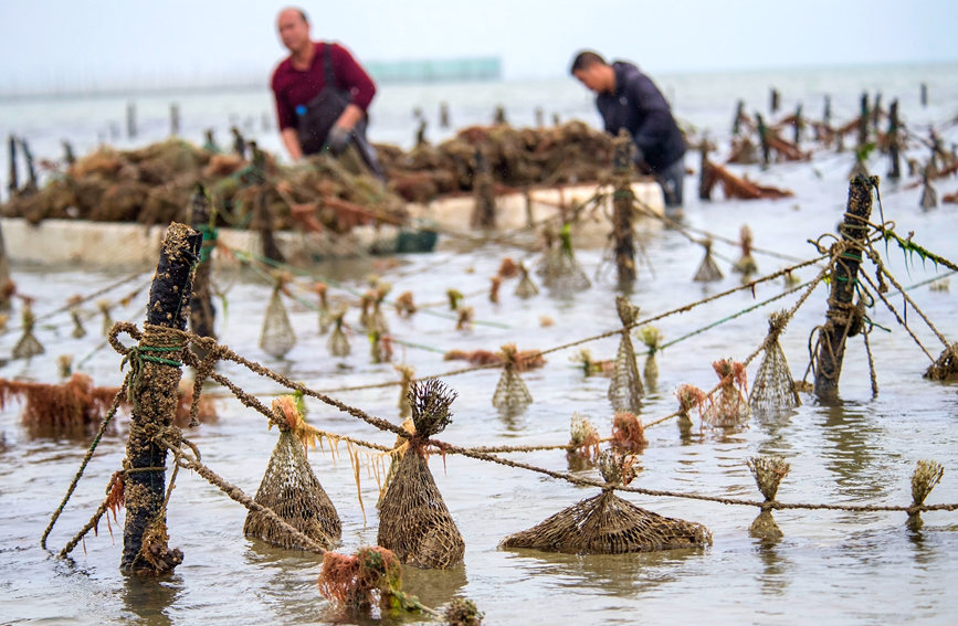 ?????? ???? ??? ?????? ?? ????? ?? ?????? ???????