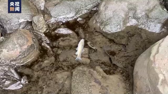 ?????????: ???? ?????? ???????? ?? ????? ???? ?? ???? ????? ?? ????????