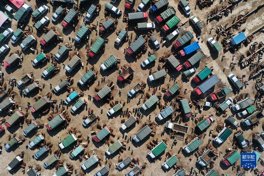 ??? ??????? ??????? (??????) ???? ?????? ????????