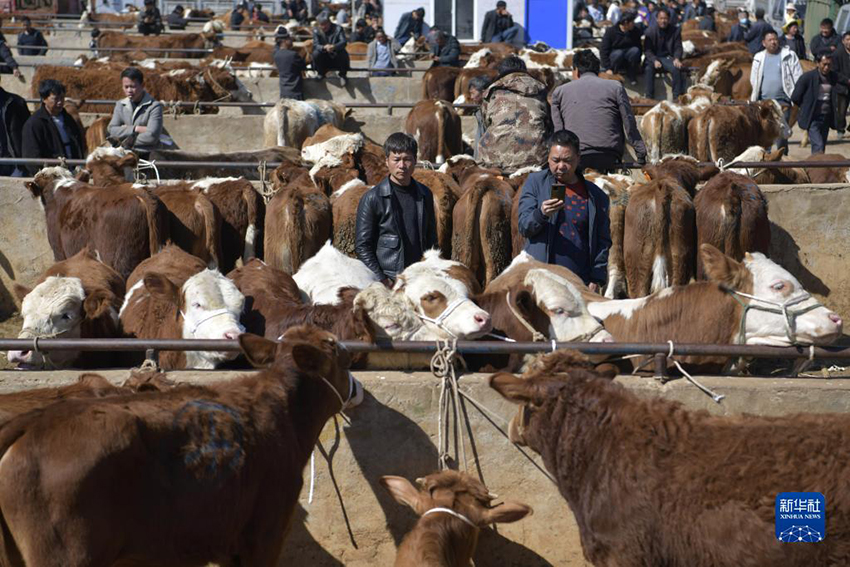 ??? ??????? ??????? (??????) ???? ?????? ????????