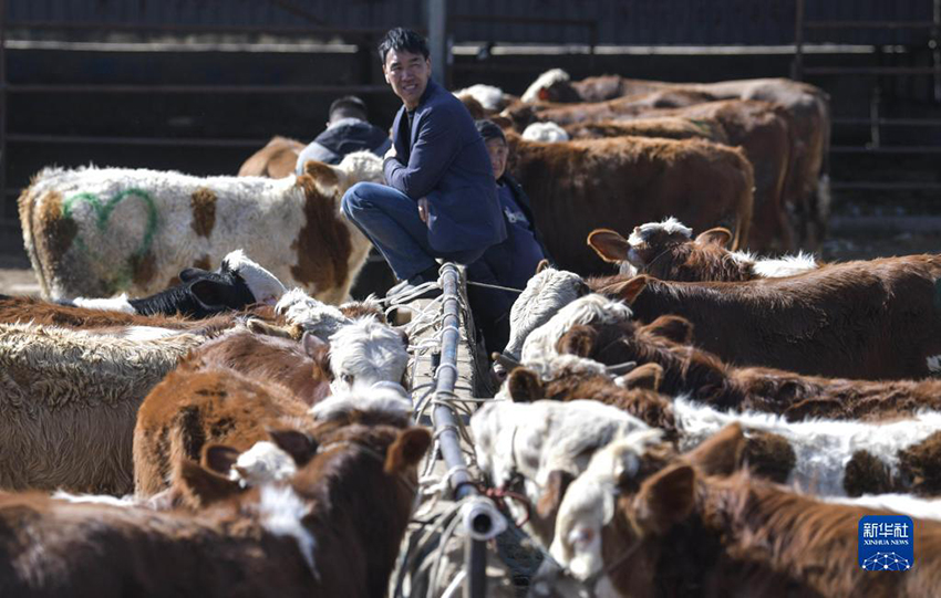 ??? ??????? ??????? (??????) ???? ?????? ????????