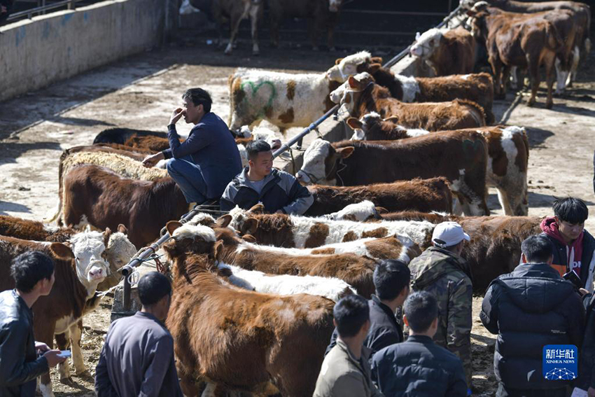 ??? ??????? ??????? (??????) ???? ?????? ????????