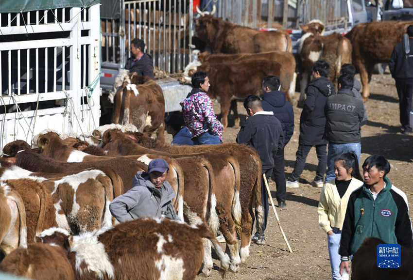 ??? ??????? ??????? (??????) ???? ?????? ????????