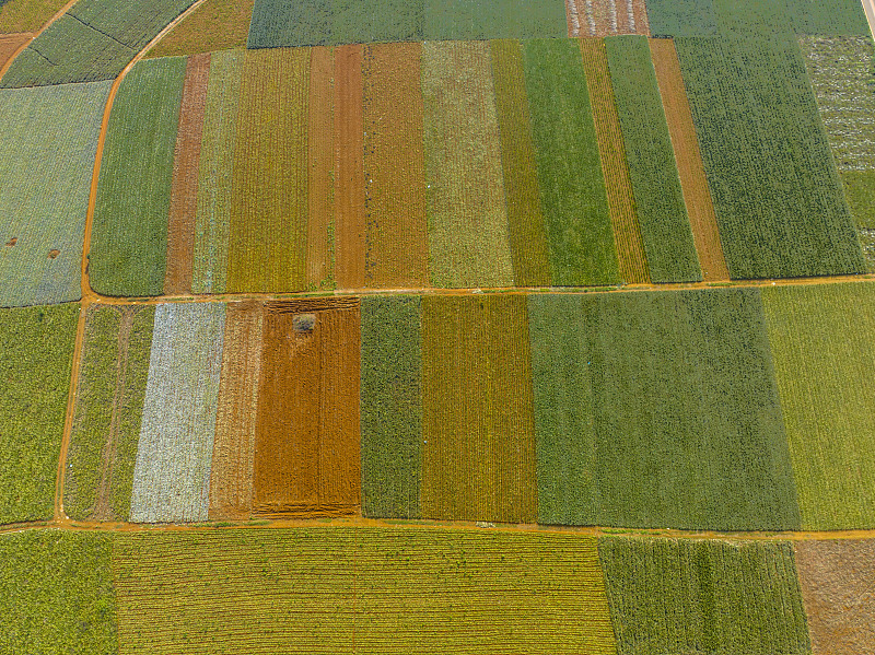 ???? ???????? ?? ????? ????? ???? ???? ??????