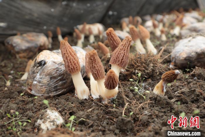 ??????? ?????: ??? ????? ???? ???? ????????? ?? ????? ??????