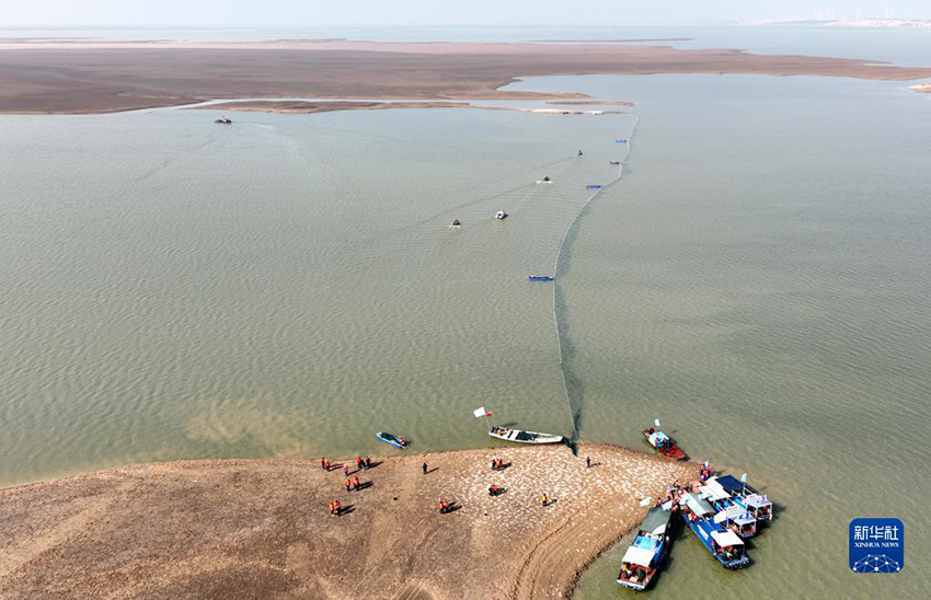 ????? ???? ??? ?????? ????? ????? ??? ????? ??? ???? ????