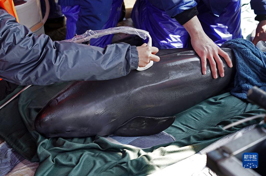 ????? ???? ??? ?????? ????? ????? ??? ????? ??? ???? ????