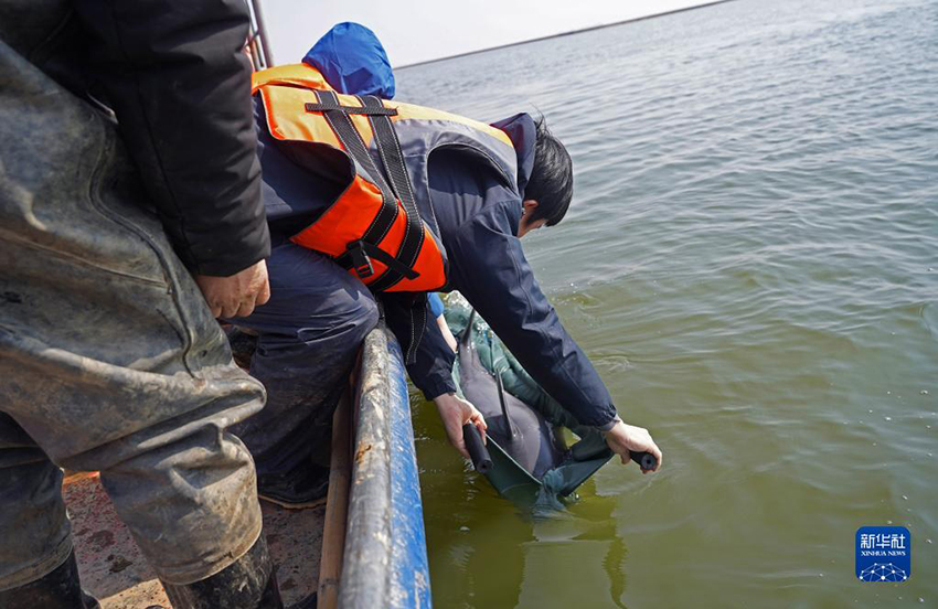 ????? ???? ??? ?????? ????? ????? ??? ????? ??? ???? ????