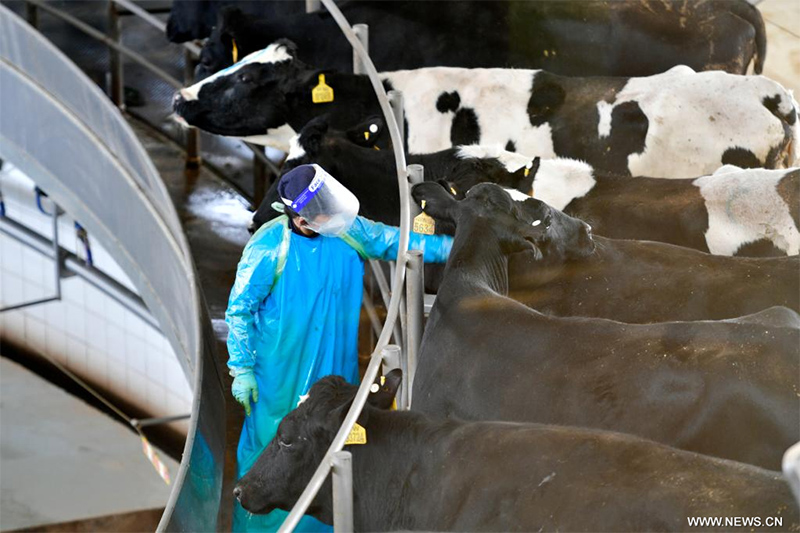 ????? ??????? ?? ?????? ????? ????? ???? ?????