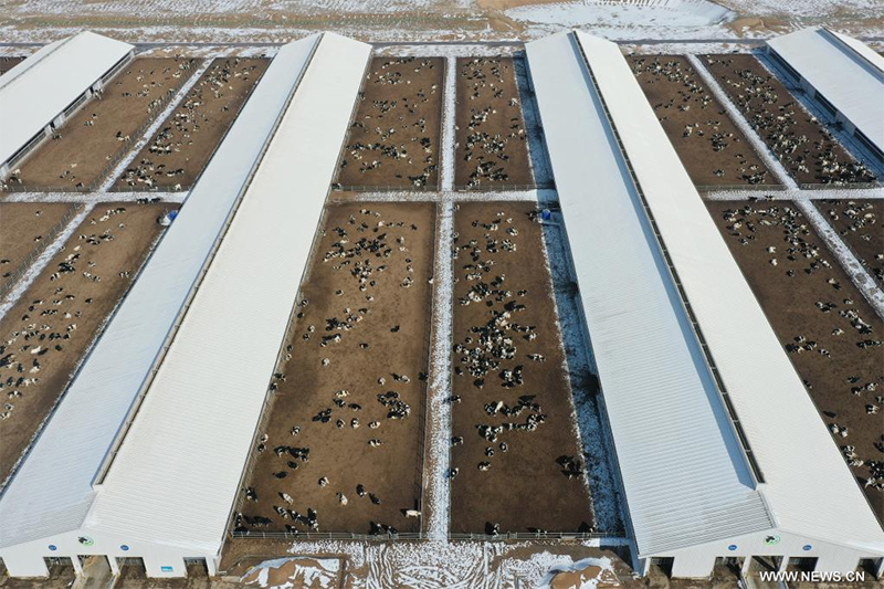 ????? ??????? ?? ?????? ????? ????? ???? ?????