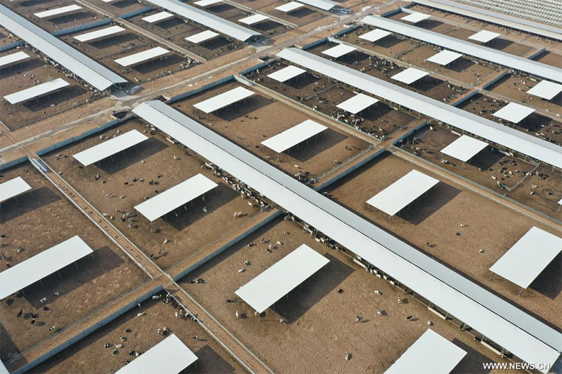 ????? ??????? ?? ?????? ????? ????? ???? ?????