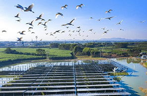 ?????? ?????? ?????? ??????? ???? ????? ?????? ?? ?????